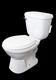 Imagen de sanitario modelo Alida secundaria 1