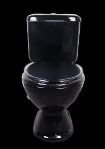 Imagen de sanitario modelo Minos secundaria 1