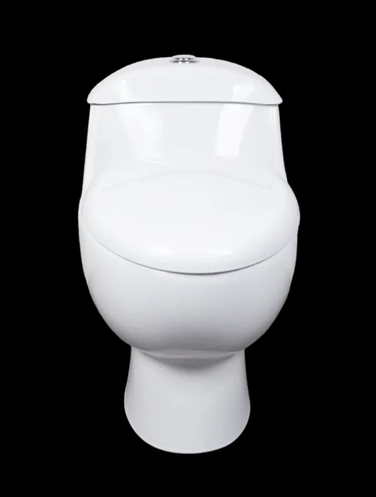 Imagen de sanitario modelo One Piece principal